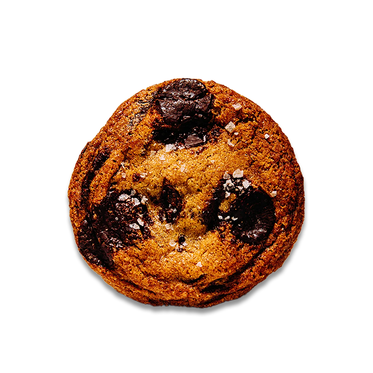 Espresso Double Chocolate Cookie