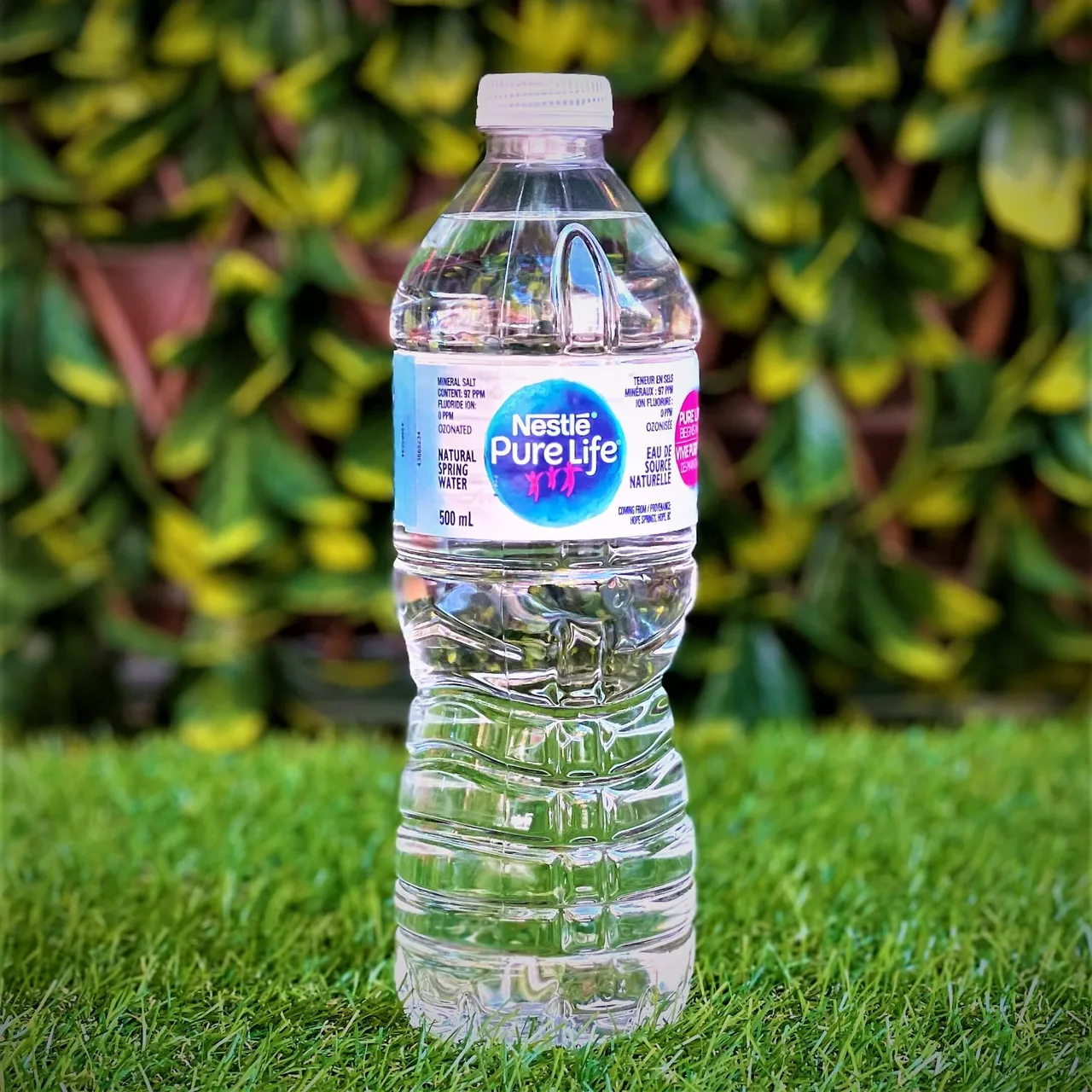 Bottled Water